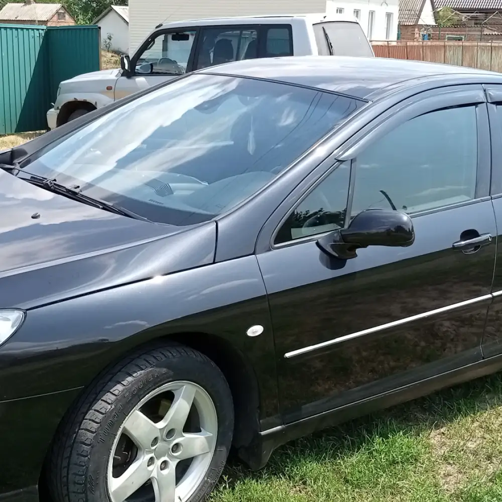 Peugeot 407 — фото 1 из 6