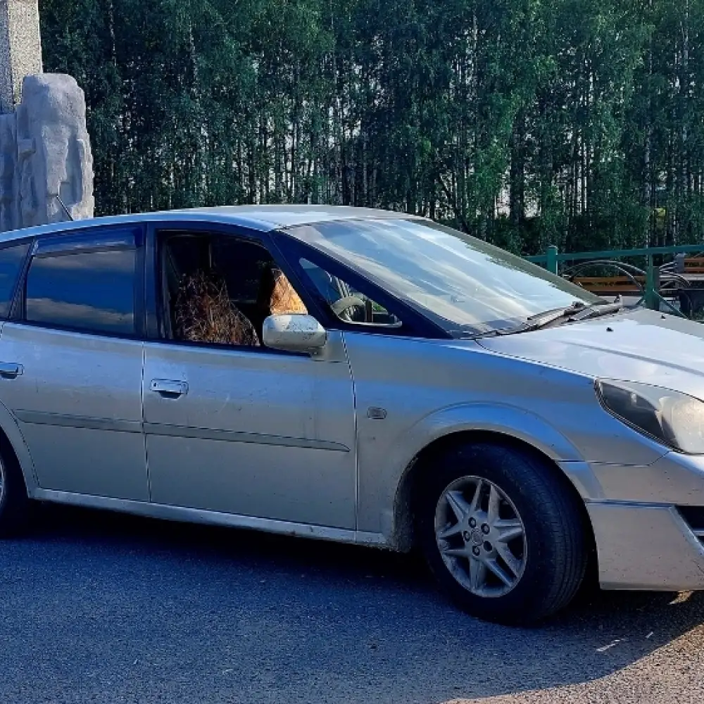 Toyota Opa — фото 1 из 6
