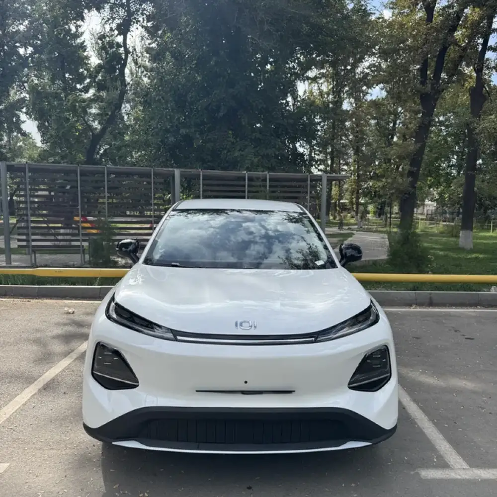 Changan Qiyuan Q05 — фото 5 из 6