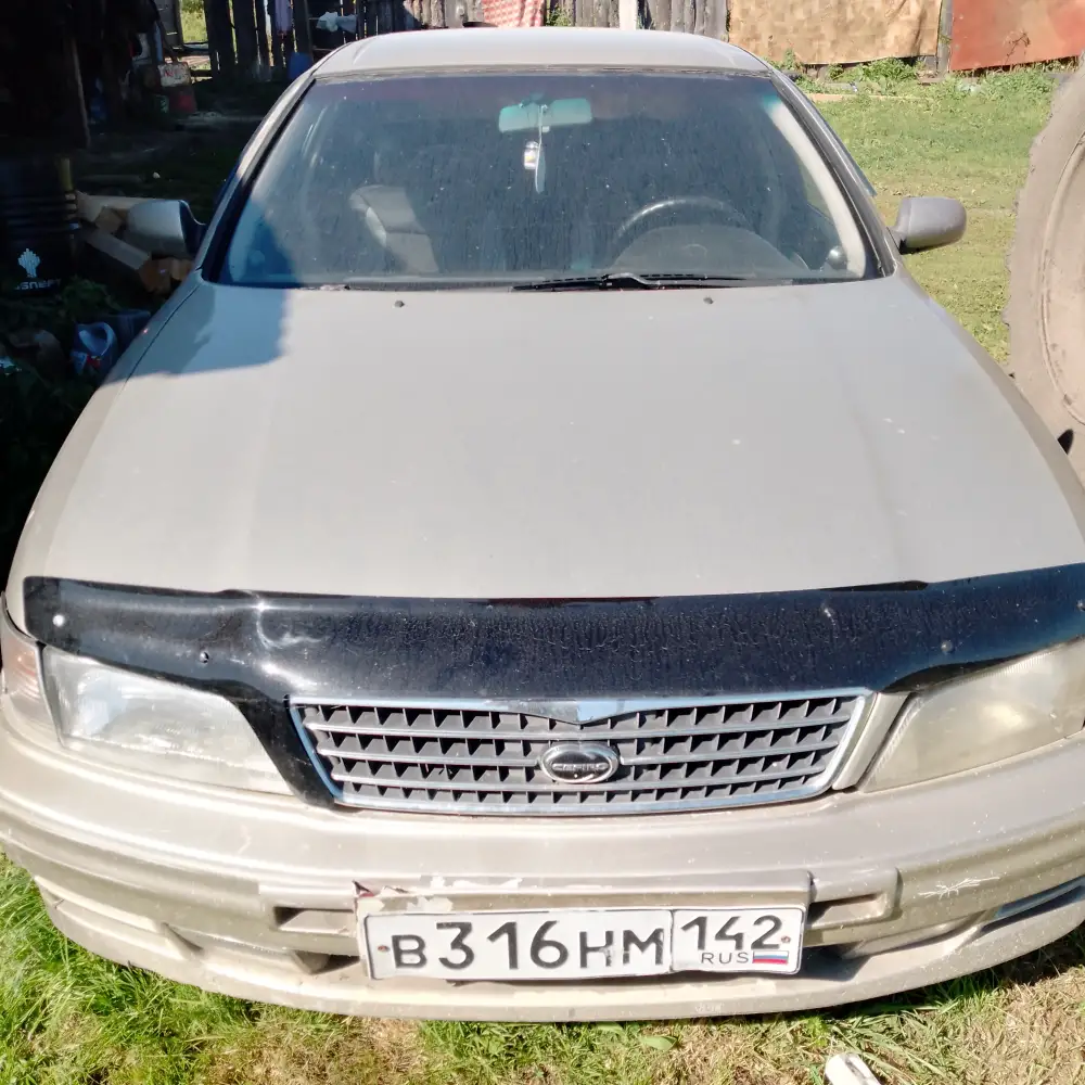 Nissan Maxima — фото 1 из 1