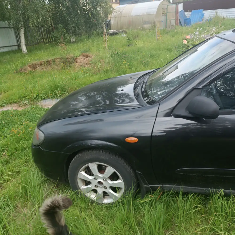 Nissan Almera — фото 3 из 6