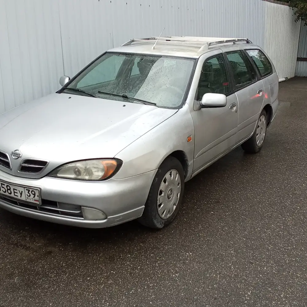 Nissan Primera — фото 1 из 6
