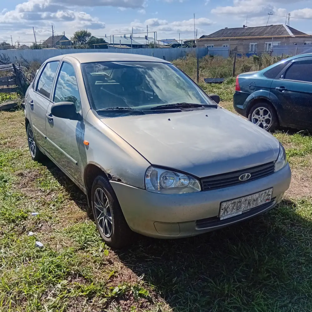 Lada Kalina — фото 1 из 6