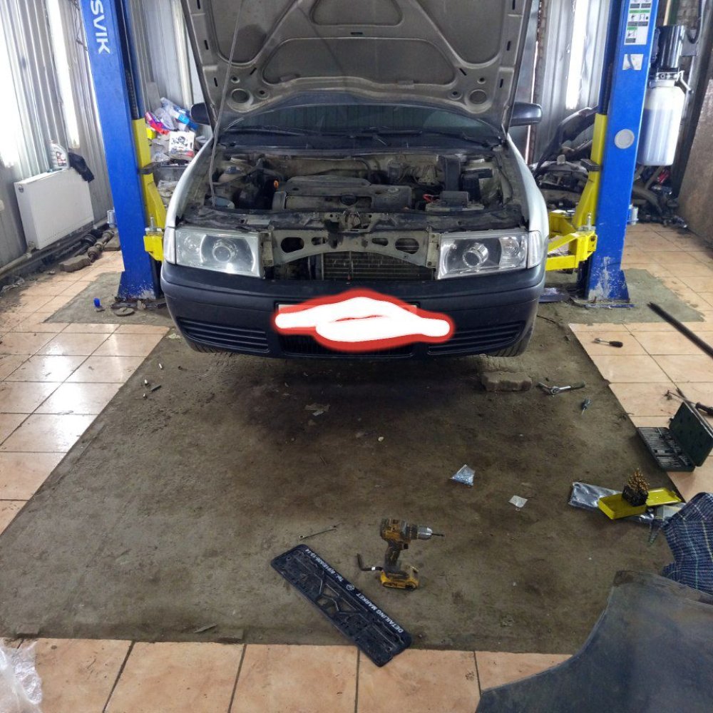 Skoda Octavia — фото 1 из 1