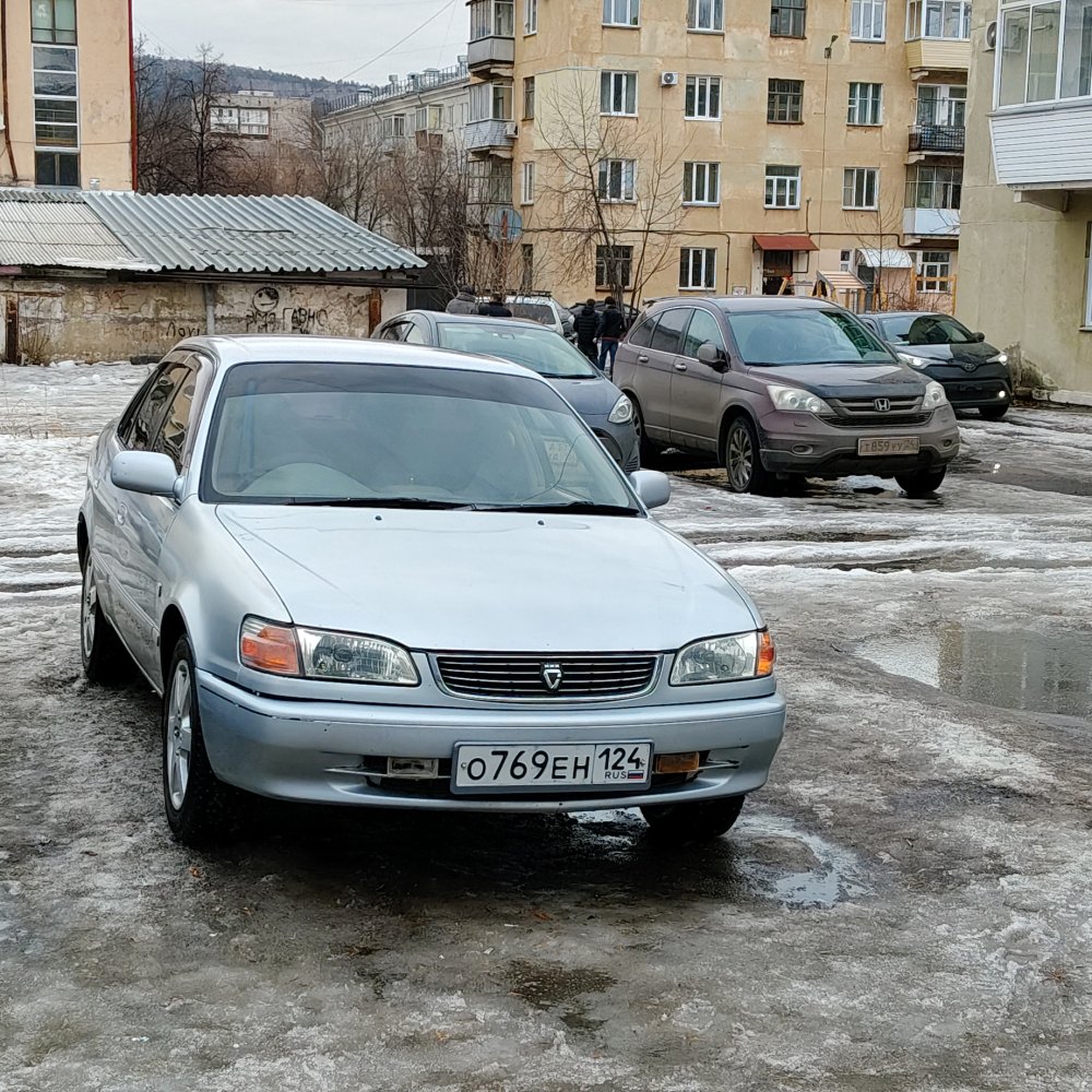 Toyota Corolla — фото 1 из 1