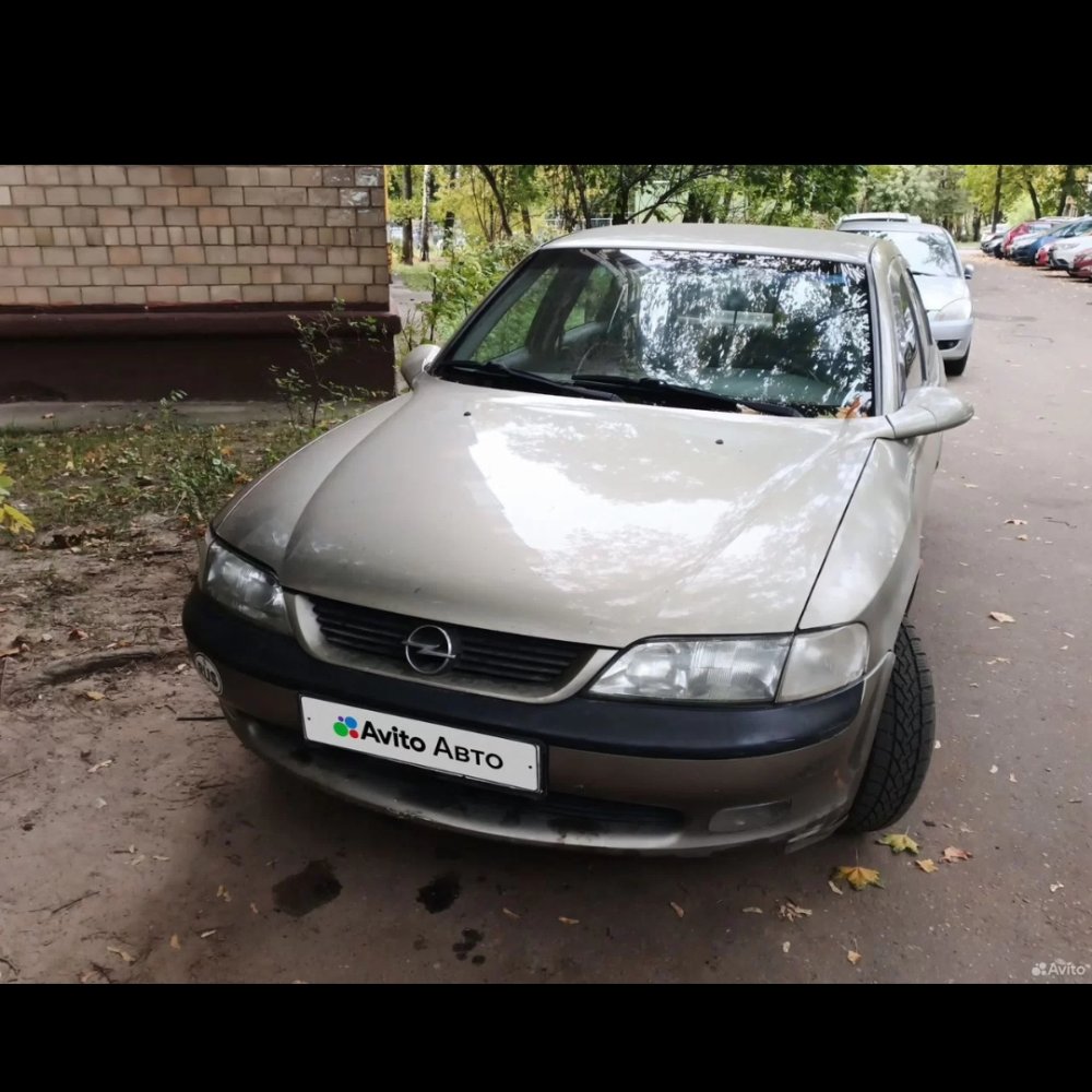 Opel Vectra — фото 1 из 1